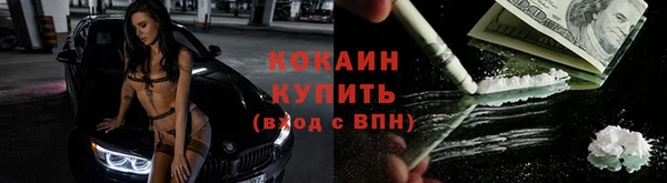 крисы Абдулино